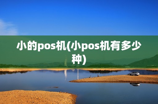 小的pos机(小pos机有多少种)