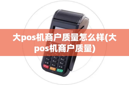大pos机商户质量怎么样(大pos机商户质量)