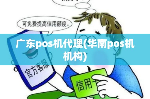 广东pos机代理(华南pos机机构)