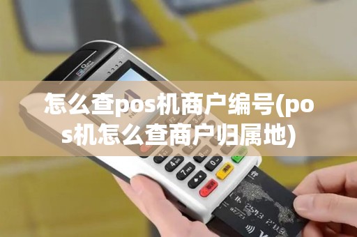 怎么查pos机商户编号(pos机怎么查商户归属地)