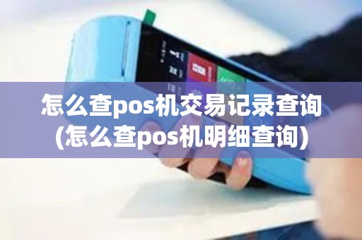 怎么查pos机交易记录查询(怎么查pos机明细查询)