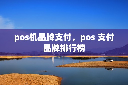 pos机品牌支付，pos 支付品牌排行榜