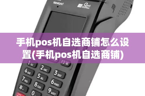 手机pos机自选商铺怎么设置(手机pos机自选商铺)