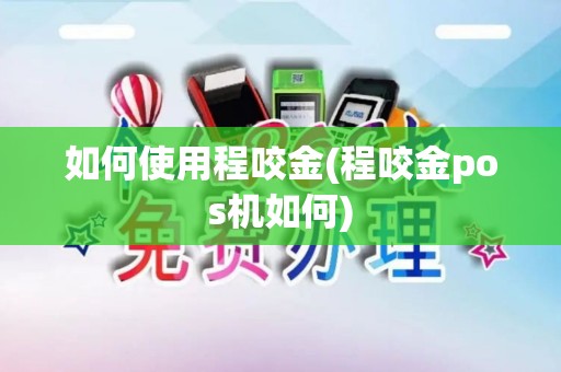 如何使用程咬金(程咬金pos机如何)