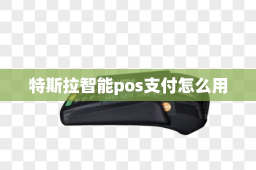 特斯拉智能pos支付怎么用