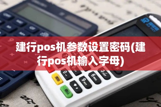 建行pos机参数设置密码(建行pos机输入字母)