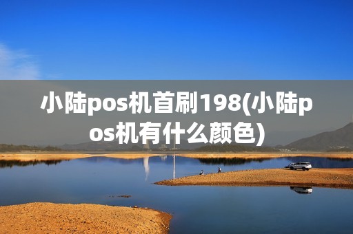 小陆pos机首刷198(小陆pos机有什么颜色)