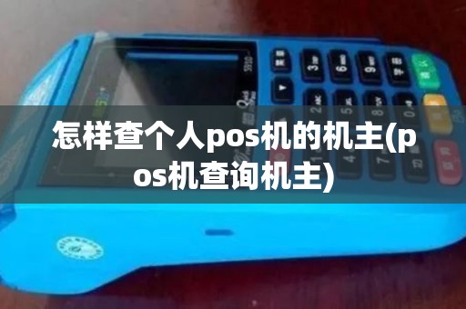 怎样查个人pos机的机主(pos机查询机主)