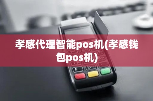 孝感代理智能pos机(孝感钱包pos机)