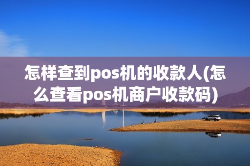 怎样查到pos机的收款人(怎么查看pos机商户收款码)
