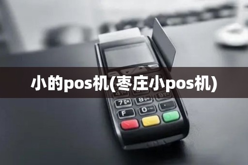 小的pos机(枣庄小pos机)
