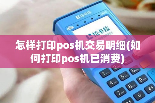 怎样打印pos机交易明细(如何打印pos机已消费)