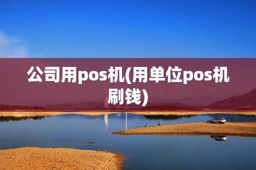 公司用pos机(用单位pos机刷钱)