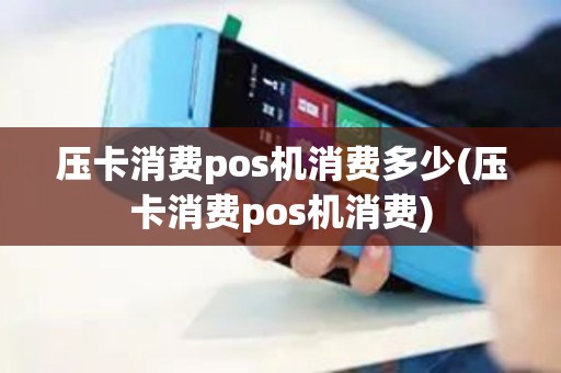 压卡消费pos机消费多少(压卡消费pos机消费)