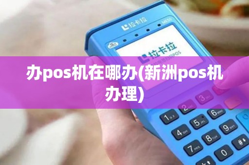 办pos机在哪办(新洲pos机办理)