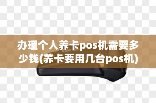 办理个人养卡pos机需要多少钱(养卡要用几台pos机)