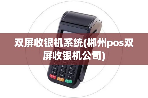 双屏收银机系统(郴州pos双屏收银机公司)