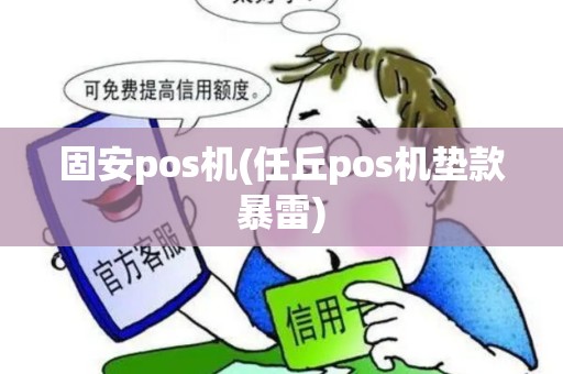 固安pos机(任丘pos机垫款暴雷)