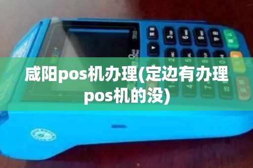 咸阳pos机办理(定边有办理pos机的没) 咸阳pos机办理(定边有办理pos机的没)