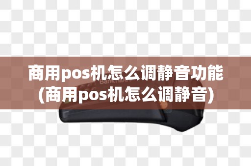 商用pos机怎么调静音功能(商用pos机怎么调静音)
