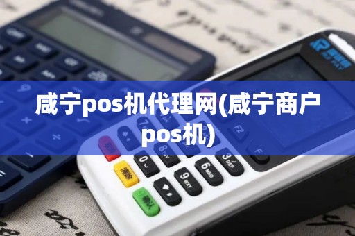 咸宁pos机代理网(咸宁商户pos机)