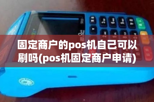 固定商户的pos机自己可以刷吗(pos机固定商户申请)