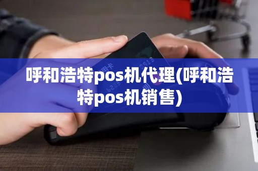 呼和浩特pos机代理(呼和浩特pos机销售)