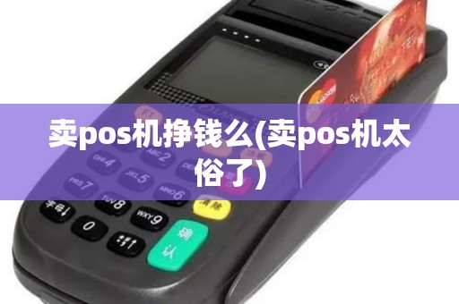 卖pos机挣钱么(卖pos机太俗了)