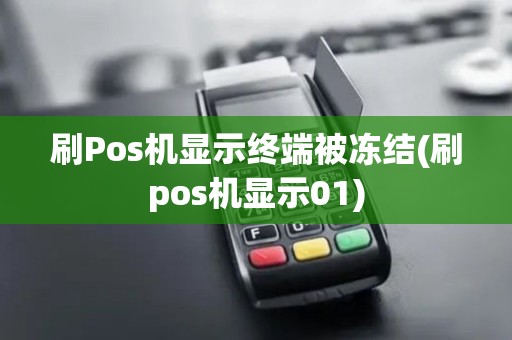 刷Pos机显示终端被冻结(刷pos机显示01)