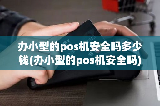 办小型的pos机安全吗多少钱(办小型的pos机安全吗)