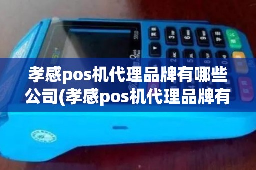 孝感pos机代理品牌有哪些公司(孝感pos机代理品牌有哪些)