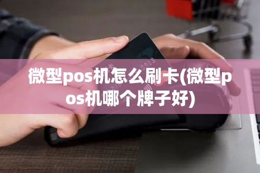 微型pos机怎么刷卡(微型pos机哪个牌子好)