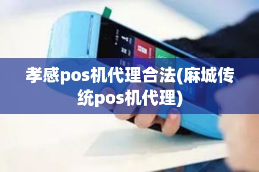孝感pos机代理合法(麻城传统pos机代理)