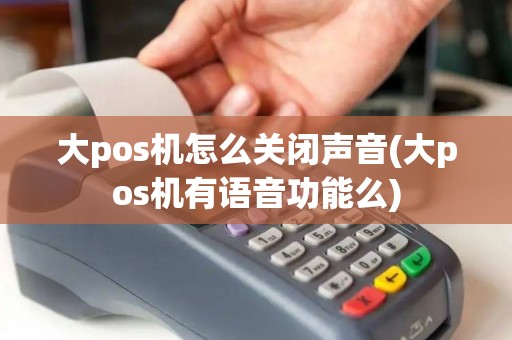 大pos机怎么关闭声音(大pos机有语音功能么)