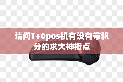 请问T+0pos机有没有带积分的求大神指点