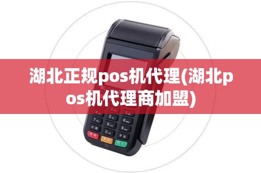湖北正规pos机代理(湖北pos机代理商加盟)