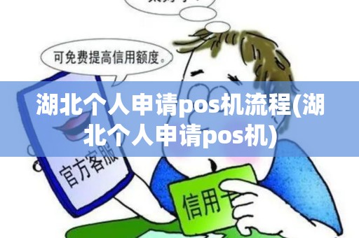 湖北个人申请pos机流程(湖北个人申请pos机)