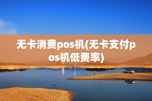 无卡消费pos机(无卡支付pos机低费率)