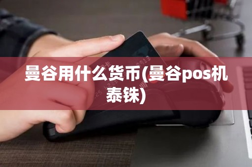 曼谷用什么货币(曼谷pos机泰铢)