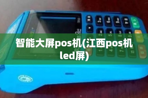 智能大屏pos机(江西pos机led屏)