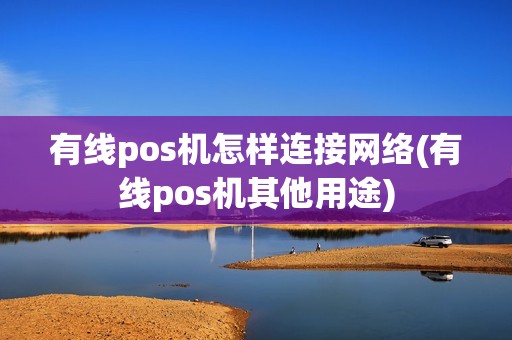 有线pos机怎样连接网络(有线pos机其他用途)