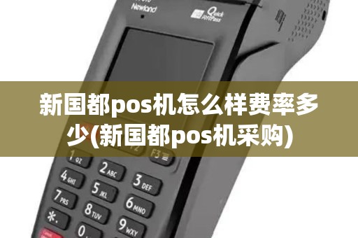 新国都pos机怎么样费率多少(新国都pos机采购)