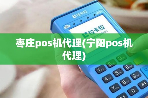 枣庄pos机代理(宁阳pos机代理)