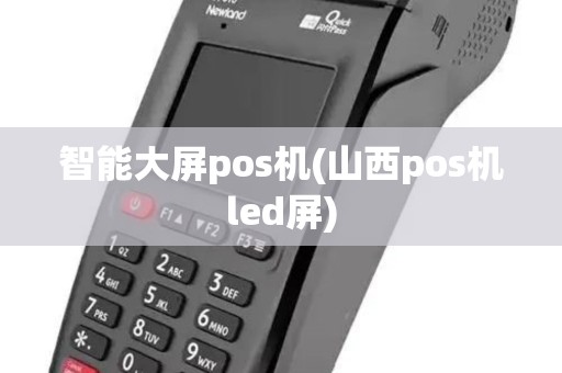 智能大屏pos机(山西pos机led屏)