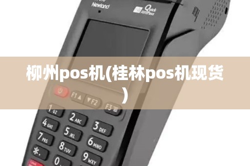 柳州pos机(桂林pos机现货)