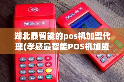 湖北最智能的pos机加盟代理(孝感最智能POS机加盟代理)