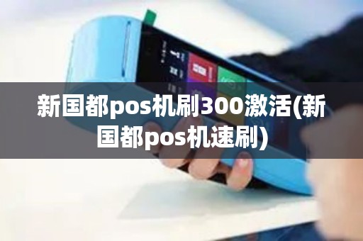 新国都pos机刷300激活(新国都pos机速刷)