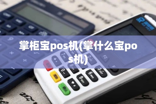 掌柜宝pos机(掌什么宝pos机)