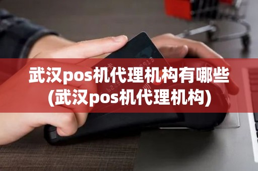 武汉pos机代理机构有哪些(武汉pos机代理机构)