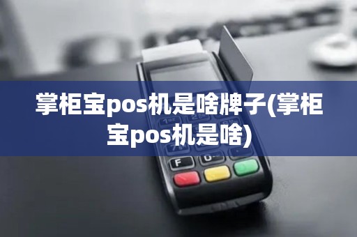 掌柜宝pos机是啥牌子(掌柜宝pos机是啥)